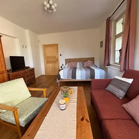 Sumavska Pohoda Se Saunou, Terasa, Gril, Psi Vitani Apartman