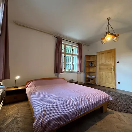 Sumavska Pohoda Se Saunou, Terasa, Gril, Psi Vitani České Žleby