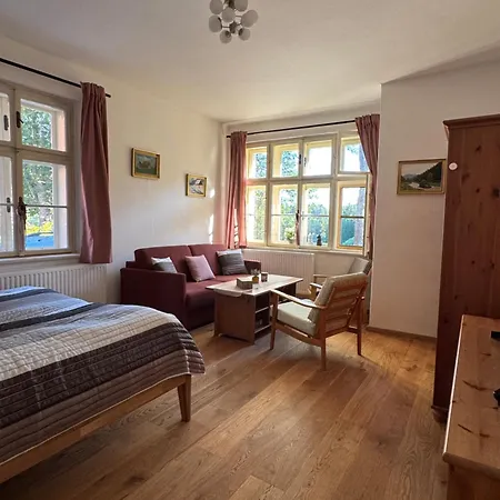 Sumavska Pohoda Se Saunou, Terasa, Gril, Psi Vitani Apartman *