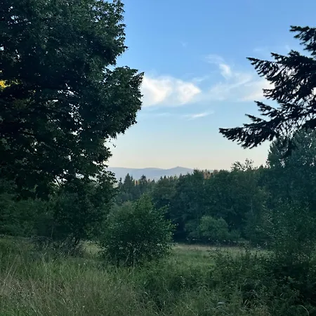 Sumavska Pohoda Se Saunou, Terasa, Gril, Psi Vitani Apartman