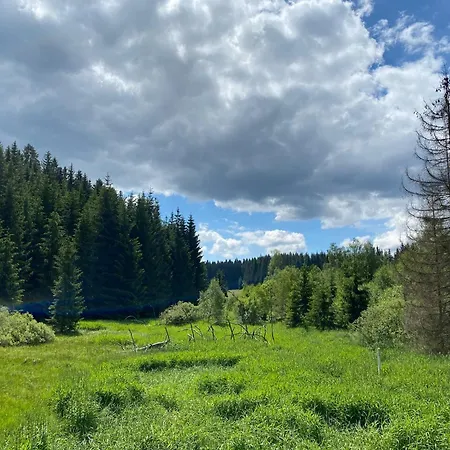Sumavska Pohoda Se Saunou, Terasa, Gril, Psi Vitani České Žleby