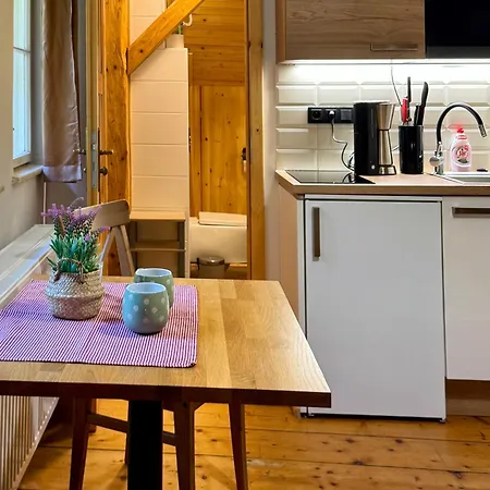 Sumavska Pohoda Se Saunou, Terasa, Gril, Psi Vitani Apartman *