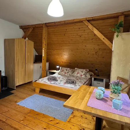 šumavská Pohoda Se Saunou, 2 Ložnice, Terasa, Gril, Psi Vítáni Apartmán Ceske Zleby